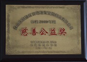 2010年度容桂慈善公益奖
